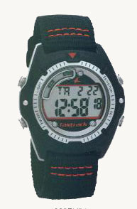 Fastrack 4060PV01